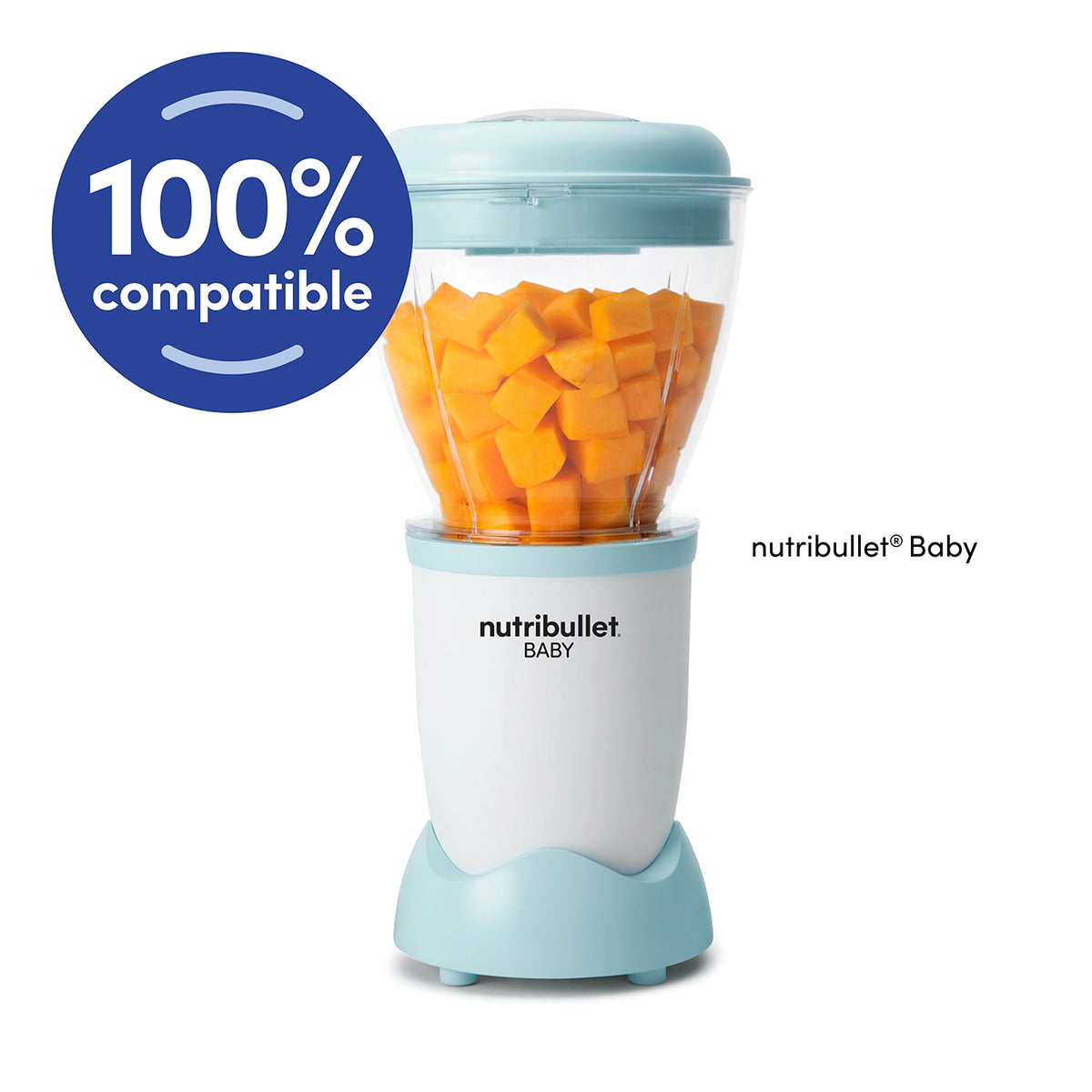 nutribullet Baby Blend Blade