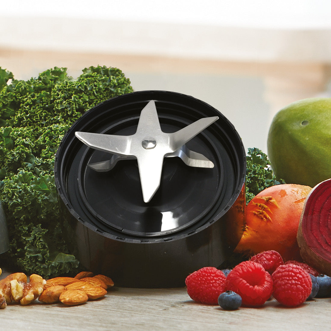 nutribullet 1000 Series Extractor Blade